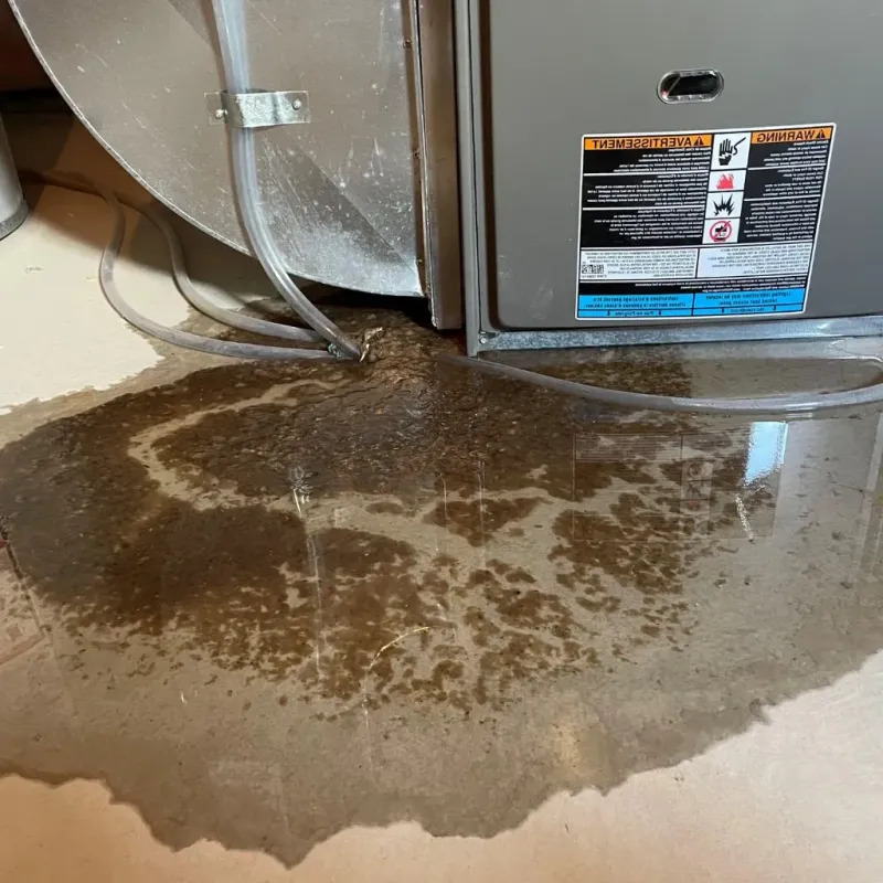Pipe Burst and Leak Restoration in Raceland, KY