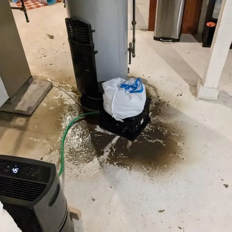 Sewage Backup Cleanup Service in Raceland, KY